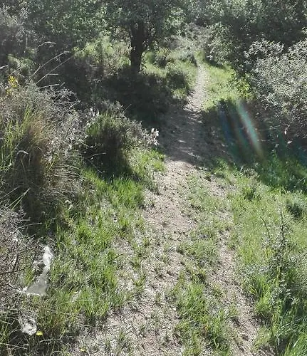 La Muralla カントリーハウス Retortillo de Soria